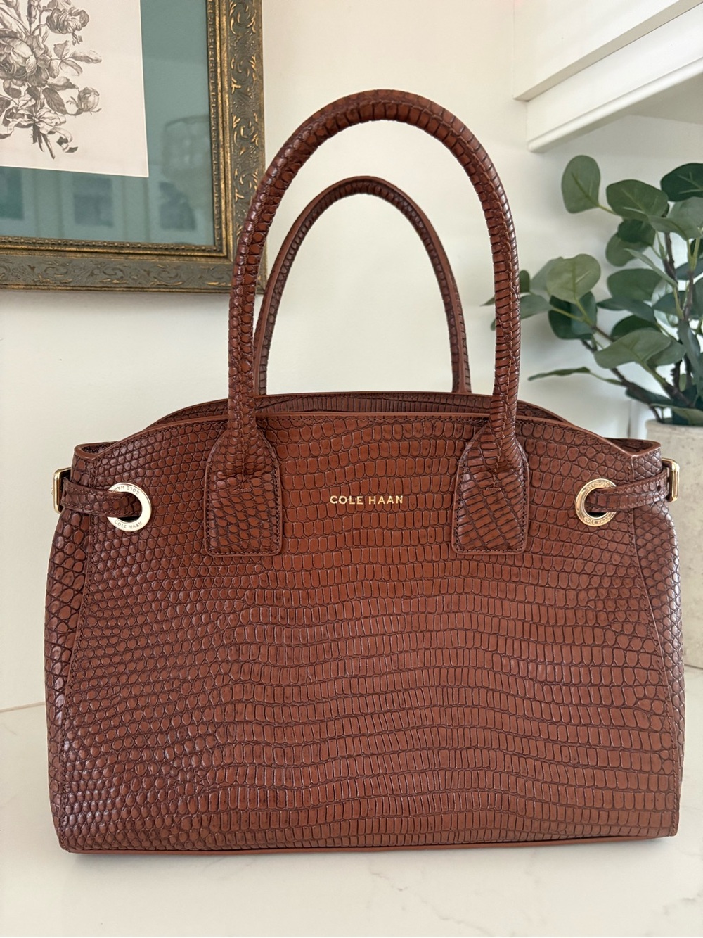 Cole Haan Brown Croc-Embossed Leather Satchel